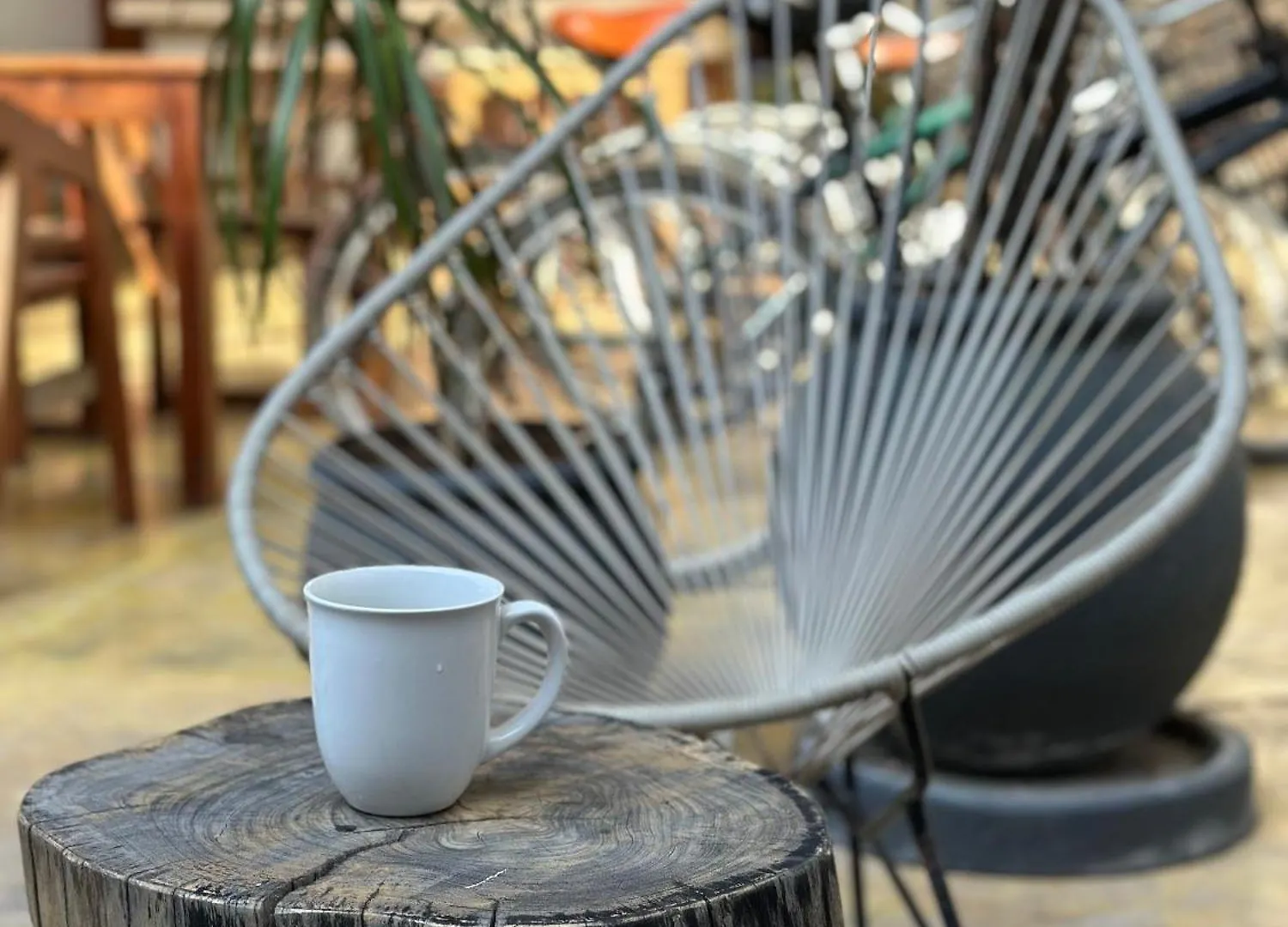 Freelance Hostel Tulum Gasthof
